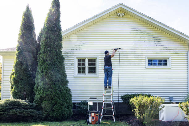Best Roof Washing  in Williamstown, NJ